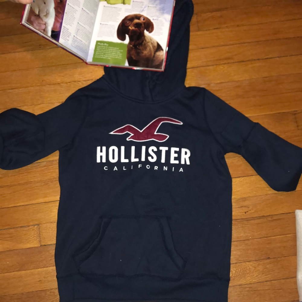 Hollister hoodie